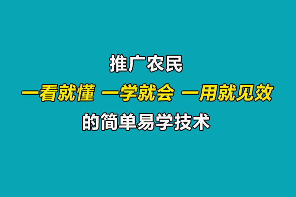 引導(dǎo)農(nóng)民合理施肥用藥,推廣一看就懂、一學(xué)就會(huì)、一用就見(jiàn)效的技術(shù)